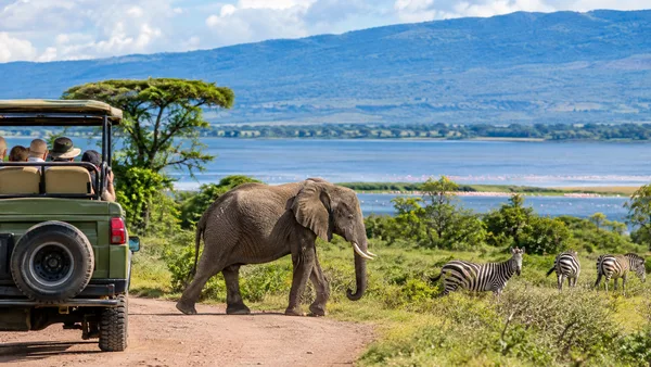 Lake Manyara National Park