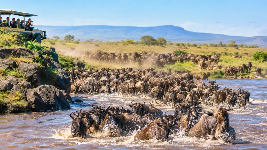 Serengeti-Große Migration Safariführer