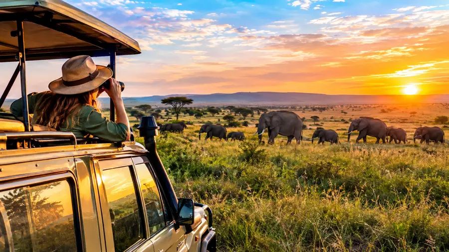 Serengeti-Safari-Kosten und Budgetplanungsleitfaden