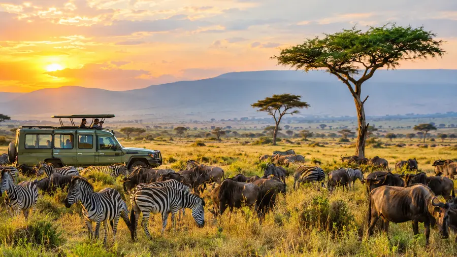 Tansania-Safarikombinationen: Serengeti, Ngorongoro und mehr