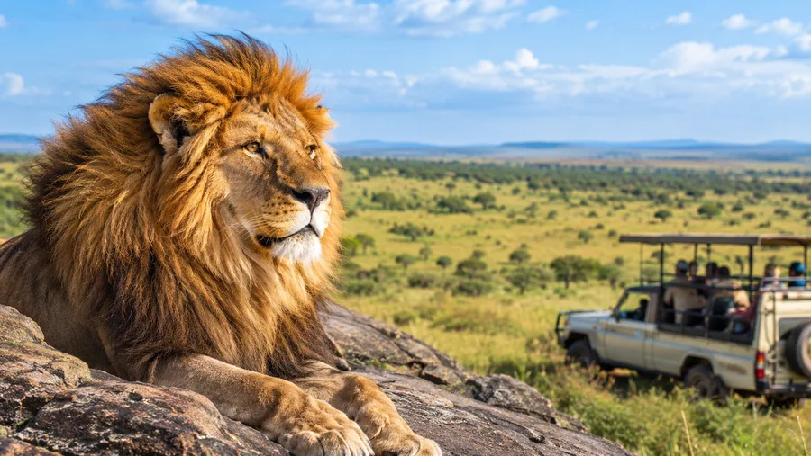 Principales actividades para hacer en un safari en el Serengueti
