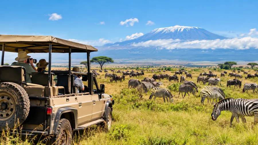 serengeti safari tours